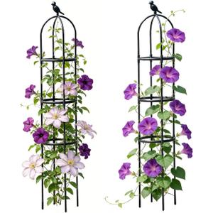 Garden Trellis, 63" Plant Support with Bird Decoration, Plant Trellis for Climbing Vines,Black Decorative Garden Cage for Climbing Roses, Clematis, Vegetables in Patio & Yard-2PACK