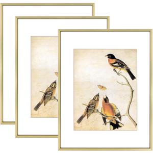 11x14 Picture Frame Set of 3, Brass Metal Photo Frames with HD Glass, Fits 8x10 with Mat or 11 x 14 without Mat, Display for Wall