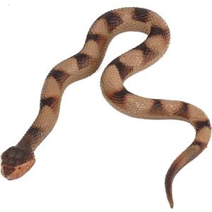 Realistic Fake Snakes Toy Lifelike Soft Rubber Garden Snake Scare Birds and Squirrels Tricky Model Snake Toys for Gift Party Favors or Halloween Decoration Props