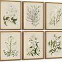 Baccone Vintage Botanical Wall Art Set of 6 Neutral Floral Canvas Wall Decor Wildflower Wall Art Watercolor Flower Prints Botanical Poster Minimalist Plant Pictures for Bedroom Room 12x16 Inch Framed
