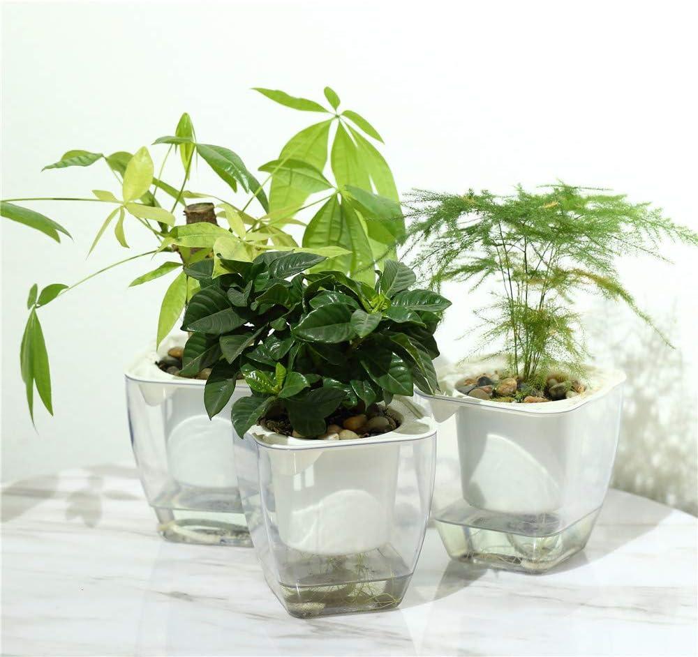 Self Watering Planter , FENGZHITAO African Violet Pots, Clear Plastic Automatic-Watering Planter Flower Pot Square Plant Pot for All House Plants, Succulents, Herb, African Violets (3 Packs Small)