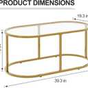 Coffee Table Gold Glass Coffee Tables for Living Room, Oval Table Center Table with Sturdy Metal Frame,Modern Tempered Glass Accent Tables for Bedroom Home Office, 1-Tier