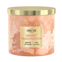 Candle Lite  Harvest Peach Pumpkin 14 OZ