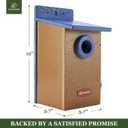 Kingsyard Recycled Plastic Bird House for Outdoor - Durable Nesting Box with Clear View Panel & Predator Guard for Bluebird Wren Swallow Finch, Blue & Brown