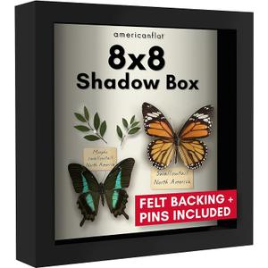 Americanflat 8x8 Shadow Box Frame with Shatter-Resistant Glass - Silhouette Collection - Small Shadow Box Display Case for Tabletop and Wall Display - Black with Soft Felt Back