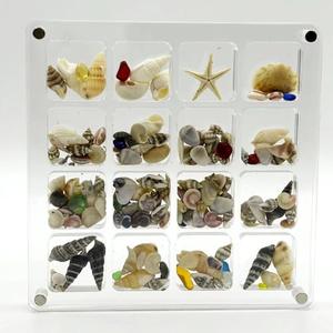GIOREFAY Acrylic Magnetic Seashell Display Box,Clear Organizer Box Container Craft Storage for Beads,nails,jewelrys,Gemstones,Seashell