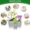 Cdd's Path 6-Pack Bare Root Planter Self Watering Pots Set with Holes for Indoor/Outdoor Plants, 2 Each of 5, 6 and 7 Inch Planter Pot with Watering Hole/Reservoir and Air Pipes, Clear