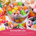 2 x Fusion Select 480g Rainbow Bean Candy - Assorted Freeze Dried Candy Pack with Wildberry Flavors - Dehydrated, Crunchy, Colorful Treats & Snacks for Kids & Adults - Packed in a Resealable Pouch (EXP 2026-02)