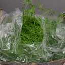Cindeer 24 Pack Fake Spanish Moss Artificial Hanging Decoration Bulk Faux Greenery Moss Garland for Potted Wall Living Room Indoor Outdoor Decor(43 Inch,Green)