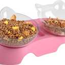 MILIFUN Cat Bowls, Cat Food Bowls Elevated Tilted, Anti Vomiting Kitty Bowl for Puppy and Bunny, Orthopedic Pet Bowl for Indoor. (Pink)