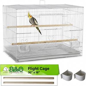 A&E Cage Co 504 Flight Bird Cage for Finches & Parakeets, 30"x18"x18" White | 2 Slide-Up Feeder Doors, Wood Perch, Slide-Out Cleaning Tray, Carry Handle, Safe Bar Spacing for Small Birds