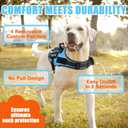 No Pull Dog Harness for  Sized Dogs, Service Dog Harness and Leash Set with 4 Patches, Adjustable Easy Walk Dogs Harnesses with Handle, Dogs Vest Harnesses for Training (Blue, XL)