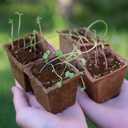 Seed Starting Soil Mix 2qt, Seed Starter Seedling Soil Ready to Use Suitable for Vegetable, Flower, Houseplant and Bonsai
