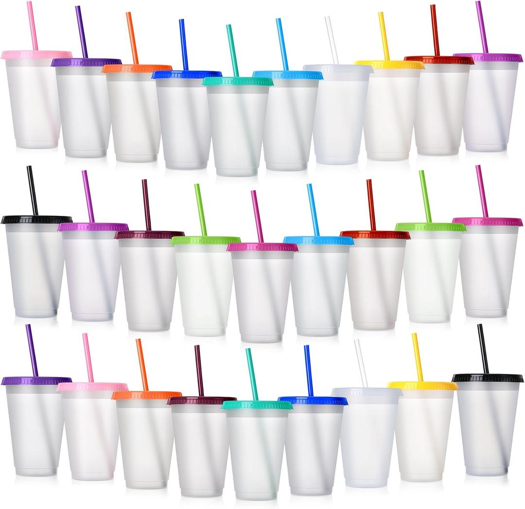 Hsei Reusable Plastic Tumbler with Straw and Lid Bulk -clear Plastic Cups with Lid and Straw for Iced Coffee Water Smoothie Water Bottle Travel Mug Cup for Birthday Party Gifts(28 Pack,16 oz)