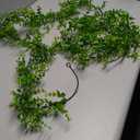Artflower Artificial Eucalyptus Garland Eucalyptus Vine Green Garland Artificial Hanging Eucalyptus Leaves Plant Wedding Arch Wall Indoor Outdoor Green 2 Pack  4 1/2FT 
