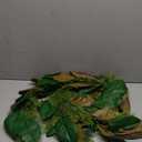 6 Ft Realistic Magnolia Garland With Artificial Faux Cedar, Brown And Green Magnolia Leaf Garland Christmas Decorations For Mantle Fireplaces Stair Xmas Holiday Party Table Decor