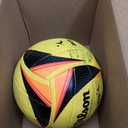 WILSON AVP Game Volleyballs
