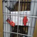 Dog Playpen Outdoor, 8 Panels 40" H Heavy Duty Metal Dog Pen Indoor