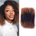 Afro Kinkys Bulk Human Hair Ombre Color #30/1b/#30 for Twist, Mini Twist, Dreadlock and Braiding 100% Afro Kinky-Curly Human Hair Bulk (10inch(50g, #30/1b/30))