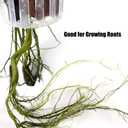 2 x DONGKER Aquarium Plant Holder,2 PCS Hanging Fish Tank Plant Pot with Hole for Fish Tank Wall Thickness up to 1.2cm/0.5" (Hexagon Opening)