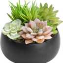 MyGift Mini Artificial Succulent in Pot, Fake Plant Arrangement in Black Ceramic Planter Bowl
