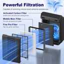 116130 Replacement Filter H for Winix 5500-2 AM80 Plasmawave Air Purifier, High Efficiency Filter and Activated Carbon Filter Combo Pack, 2 Set