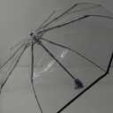Clear Transparent Folding Auto Open/Close Umbrella w Reinforced Steel Ribs (Black Rim) Fast ePacket Shipping