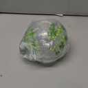 5.75 x 5.75 x 5.63'' St Patricks Day Irish Shamrock Balls Crackle Glass Night Light Illuminated Sphere Glowing Orb Decorative Battery Operated Lamp Festive Home Accent Decorations