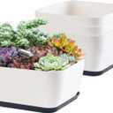 Succulent Pots 6 Inch Shallow Herb Planters with Drainage Hole - 4 Packs Cactus Planter for Home Office Garden Plants Pot Present - Plants Not Included (Off White) (Square 4 Pcs)