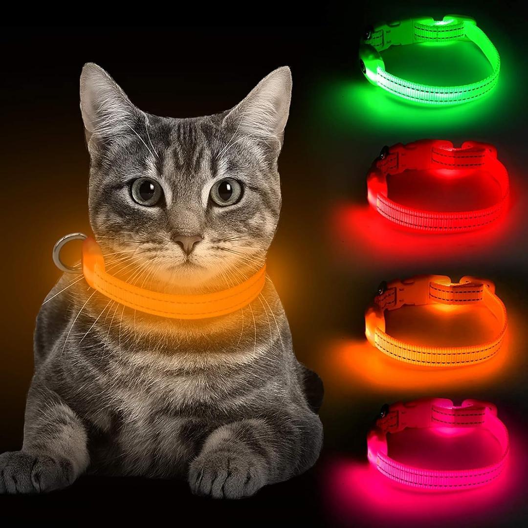 BSEEN LED Dog Collar- Lighted Dog Collar- Glow in The Dark Dog Collars- Puppy Collar Reflective with Adjustable Nylon Webbing- High Visibility for Dog Light Collar Keep Dog Visible and Safe (Orange)