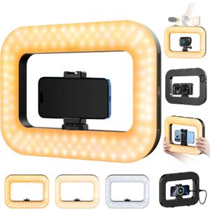 yAyusi Cell Phone Light for Video Recording, Handheld Phone Stabilizer with Light, 8000mAh LED Selfie Phones Ring Light with Phones Holder, Smartphone Video Rig for Camera, Action Camera, Vlog, TikTok