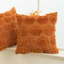 Pumpkin Fall Decorative Throw Pillow Covers 18"x18", Set of 2 Orange Soft Faux Fur Pillow Covers for Autumn Harvest, Fluffy Plush Accent Pillow Cases for Farmhouse Couch Cushion Covers
