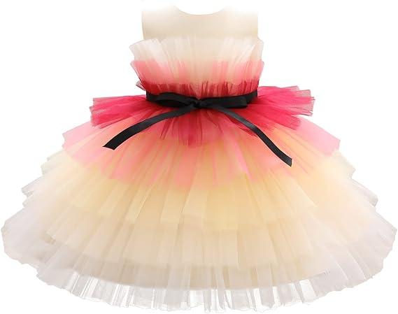 Flower Baby Girl Lace Dress Toddler Tulle Sleeveless Bow Princess Party Wedding Pageant Bridesmaid, (0-6T), Color Yellow2,