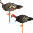 Turkey Decoys for Hunting 2 Pack, Jake and Hen with Stakes