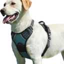 Eagloo Dog Harness for Large Dogs, No Pull Service Vest with Reflective Strips and Control Handle, Adjustable and Comfortable for Easy Walking, No Choke Pet Harness with 2 Metal Rings, Dark Green, L