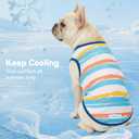 cyeollo 2pack Dog Cooling Shirt, Breathable Sleeveless Summer Clothes for Dogs, Intant Cool Dog T Shirts for Small Dogs, Blue Sky S