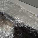 810ft, Clear Tarp with Grommets, 20 Mil, Vinyl Tarpaulin Heavy Duty Waterproof, Reinforced Edges, Outdoor Greenhouse Tarps, Rainproof, for Garden, Cars, Patio