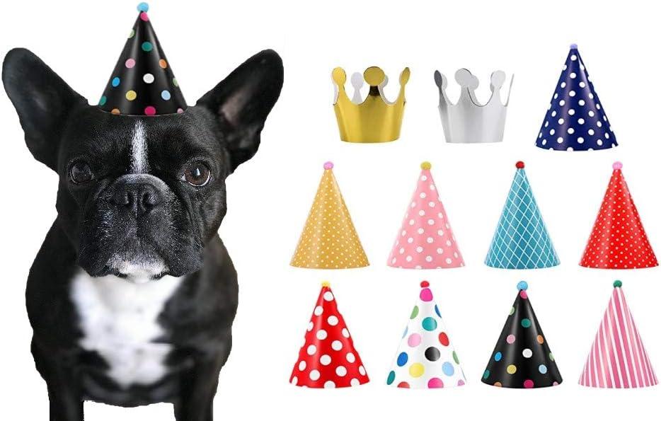 CBM Dog Party Hat Set - Dog Birthday Party - Hats and Crowns Party Time - 11 Pcs