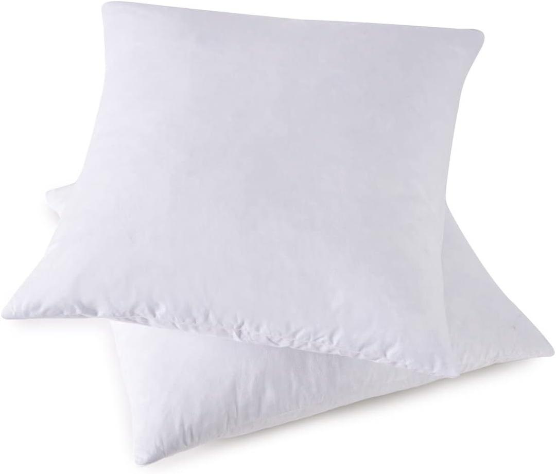 Throw Couch Pillows Inserts, Set of 2 Down Feather Pillows Inserts Bed and Cotton Cover, 18x18 Inches (White)