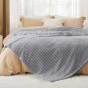 Bedsure GentleSoft Blankets Queen Size for Bed - Cozy Soft Blankets for Women, Cute Large Fleece Throws for Girls, Light Grey, 90x90 Inches
