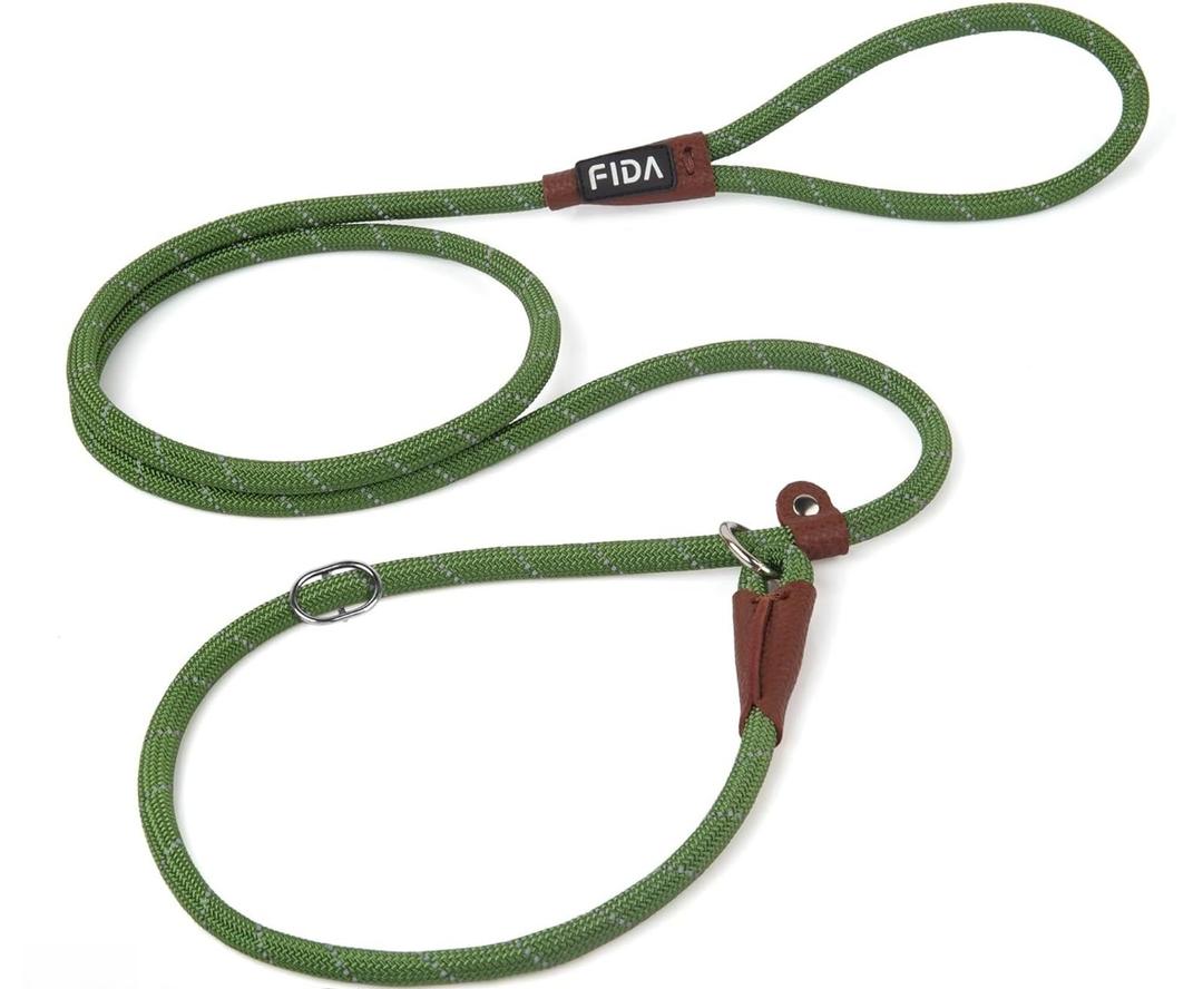 Fida Durable Slip Lead Dog Leash, 6 FT x 3/8" Heavy Duty Dog Loop Leash, Comfortable Strong Rope Slip Leash for Small Dogs and Puppies, No Pull Pet Training Leash with Highly Reflective(3/8", Green)