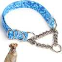 Stainless Steel Chain Collar Martingale, No Pull Slip Cinch Choker Choke Collar Training Escape Proof Heavy Duty Dog Collar for Small Medium Large Pet Boy Male Dogs, Blue XL (XL(Neck22-28"))