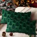 Lanpn Christmas 14x22 Throw Pillow Covers Set of 2, Winter Star Chrismas Tree Throw Pillow Cases Soft Plush Faux Fur Wool 14 x 22 Winter Cushion Cover for Indoor Home Bedroom Couch Sofa Decor (Green)
