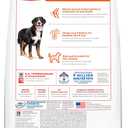 HILL'S Science Diet Large Breed Adult Dry Dog Food, 35 lbs. BBD 06/20/27