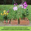 Set of 3 Strong Wooden Orchid Baskets with Hangers, Vanda Baskets for Outside
