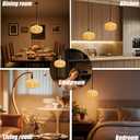Oversized Decorative LED Light Bulb 6W 500LM E26 Large Fancy Edison Bulbs 60W Incandescent Dimmable 2200k Warm White Pendant Lighting for Bedroom Dining Living Room Bar1 Pack (PK215AM)