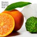 Calvin Klein Ck One Body Lotion 8.5 fl oz