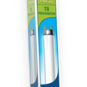 Aqueon 24-Inch Floramax T8 Aquarium Fluorescent Lamp