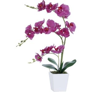 Faux Orchid in Vase Artificial Orchid in Ceramic Vase Tall Silk Orchids with Stems Real Look Potted Phalaenopsis Flowers Arrangement Centerpiece Table Decorations for Home Decor Indoor, Fuchsia