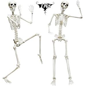 5.9FT/ 185cm Skeleton Halloween Full Size, Life Size Skeleton with Posable Joints Glowing Eyes Skeleton for Halloween Party Outdoor Haunted House Decor